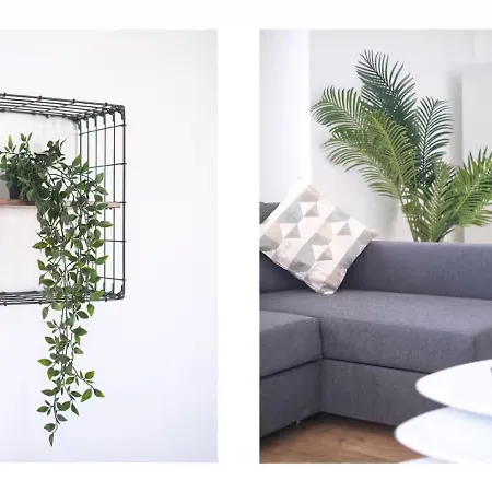 Appartement Palm Oasis